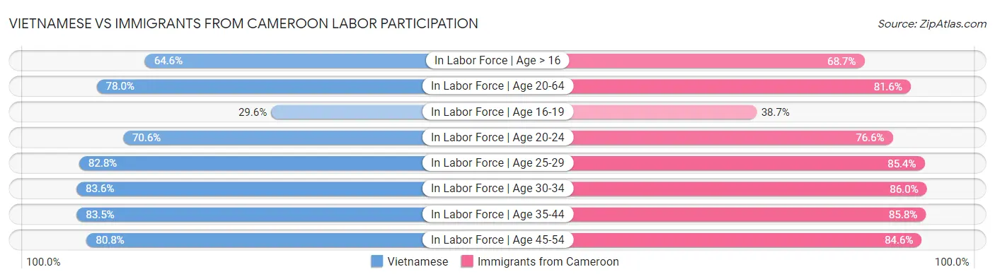 Vietnamese vs Immigrants from Cameroon Labor Participation