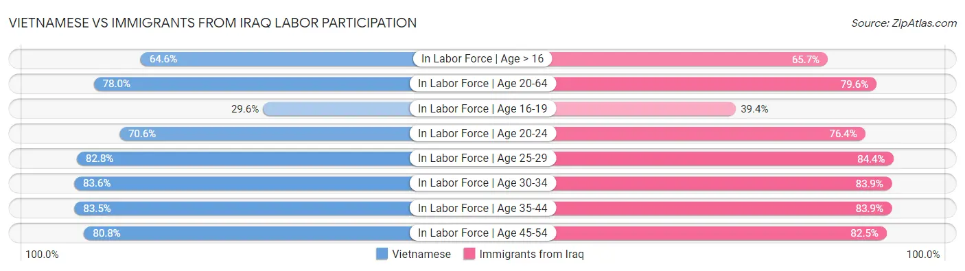 Vietnamese vs Immigrants from Iraq Labor Participation