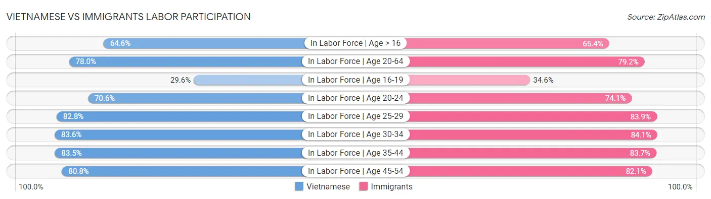 Vietnamese vs Immigrants Labor Participation