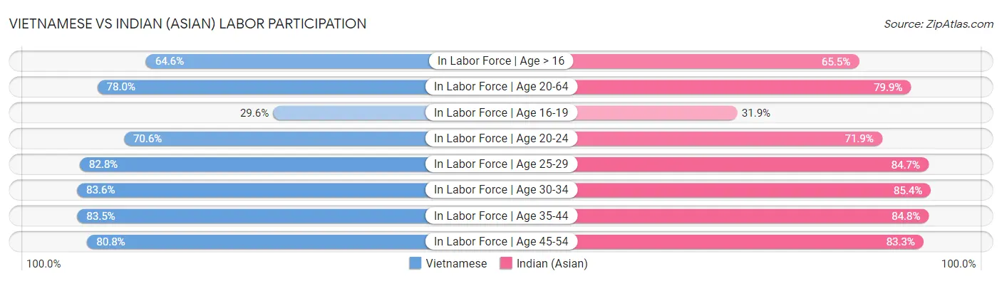 Vietnamese vs Indian (Asian) Labor Participation