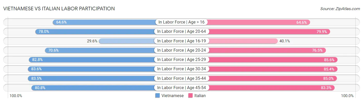Vietnamese vs Italian Labor Participation