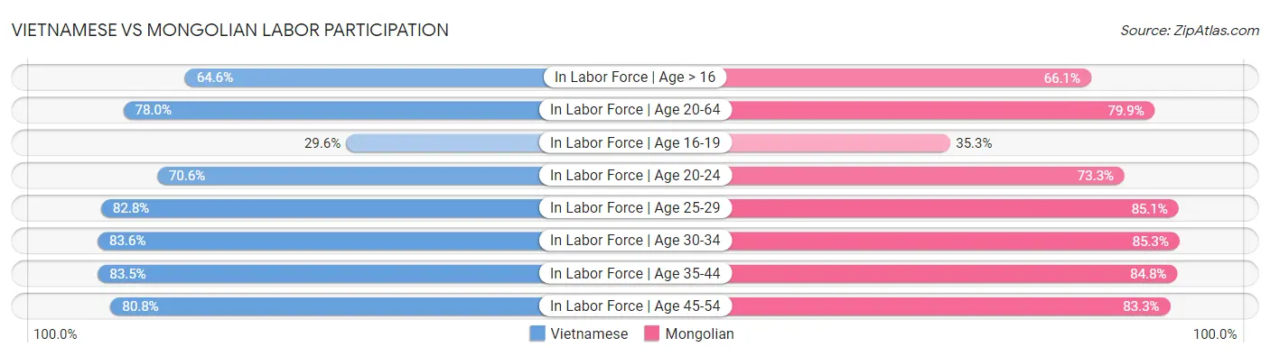 Vietnamese vs Mongolian Labor Participation