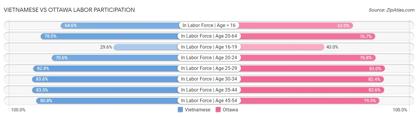 Vietnamese vs Ottawa Labor Participation