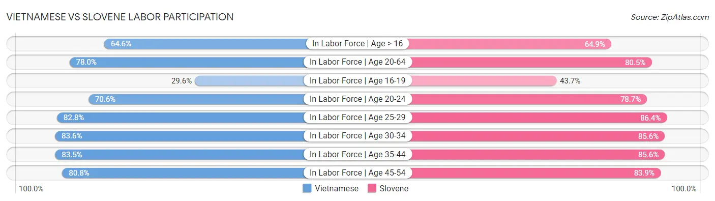 Vietnamese vs Slovene Labor Participation