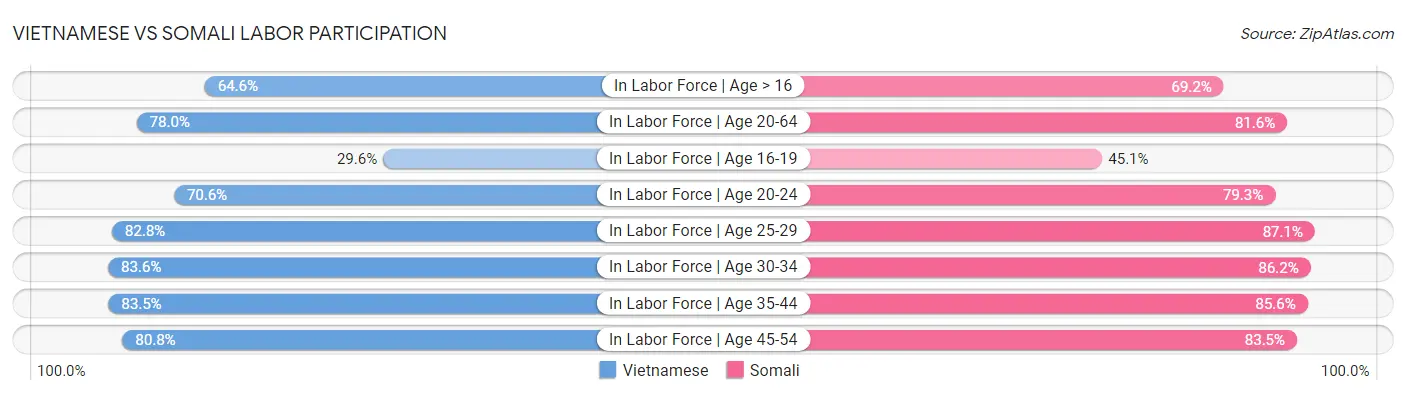 Vietnamese vs Somali Labor Participation