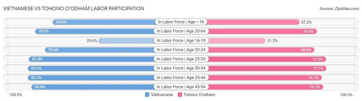Vietnamese vs Tohono O'odham Labor Participation