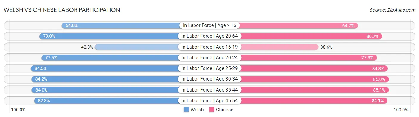 Welsh vs Chinese Labor Participation