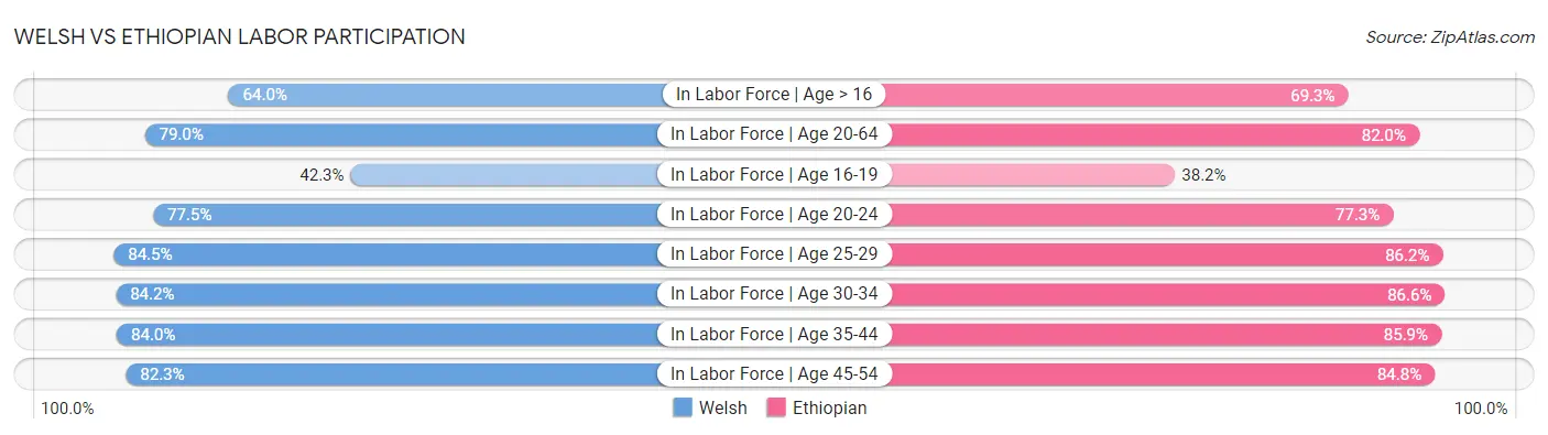 Welsh vs Ethiopian Labor Participation