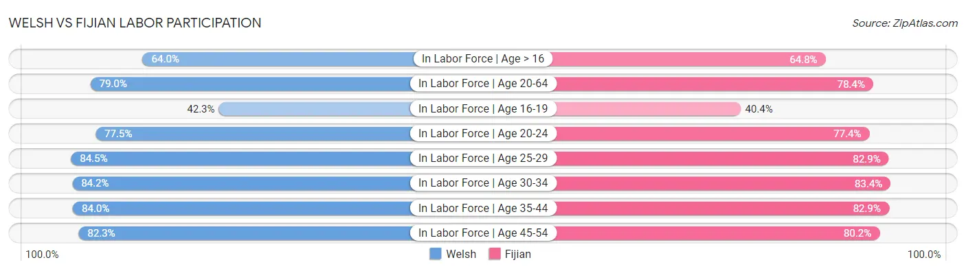 Welsh vs Fijian Labor Participation