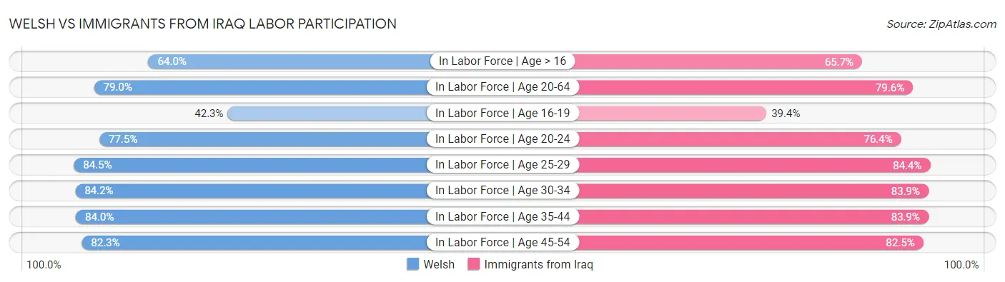 Welsh vs Immigrants from Iraq Labor Participation