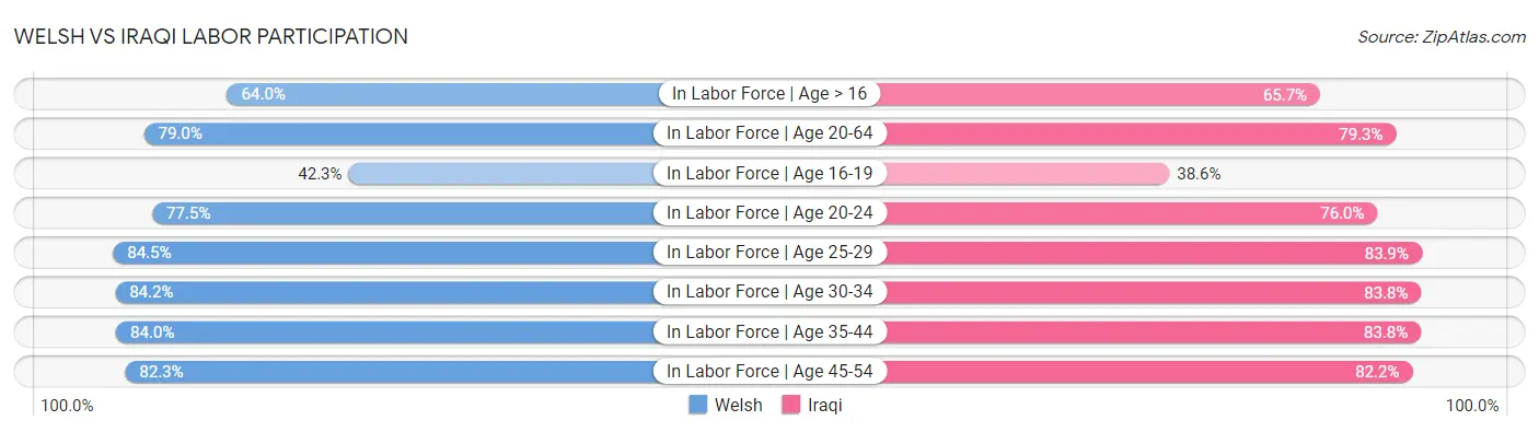 Welsh vs Iraqi Labor Participation