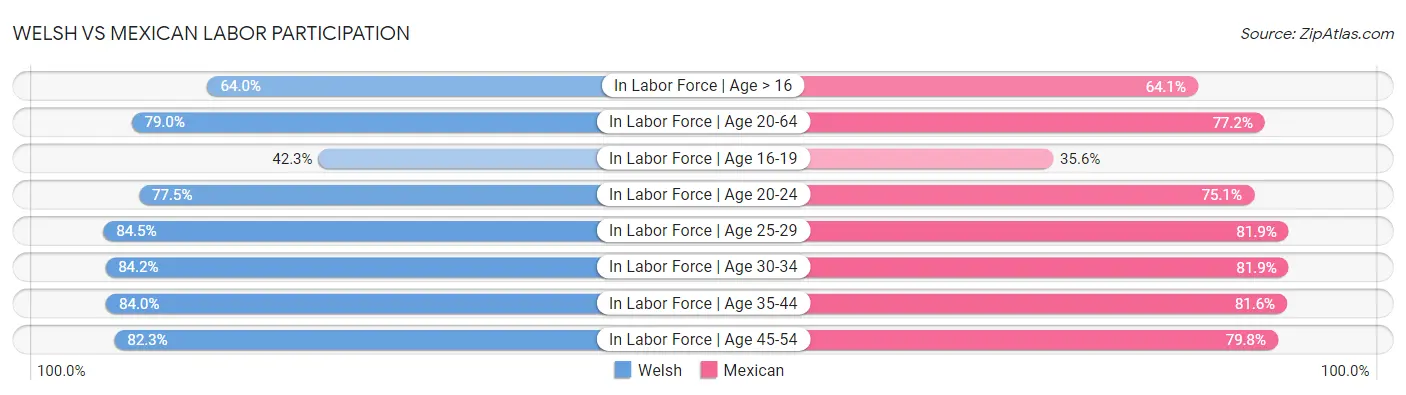 Welsh vs Mexican Labor Participation
