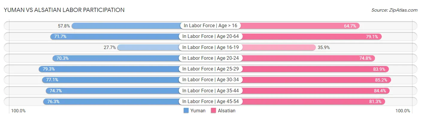 Yuman vs Alsatian Labor Participation