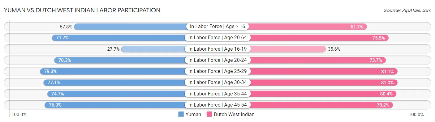 Yuman vs Dutch West Indian Labor Participation