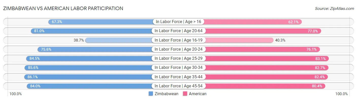 Zimbabwean vs American Labor Participation