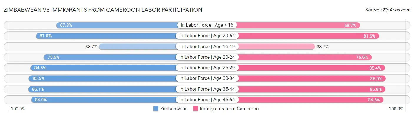 Zimbabwean vs Immigrants from Cameroon Labor Participation