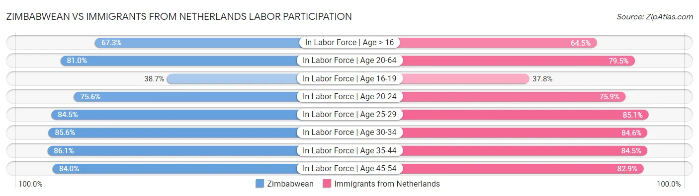 Zimbabwean vs Immigrants from Netherlands Labor Participation