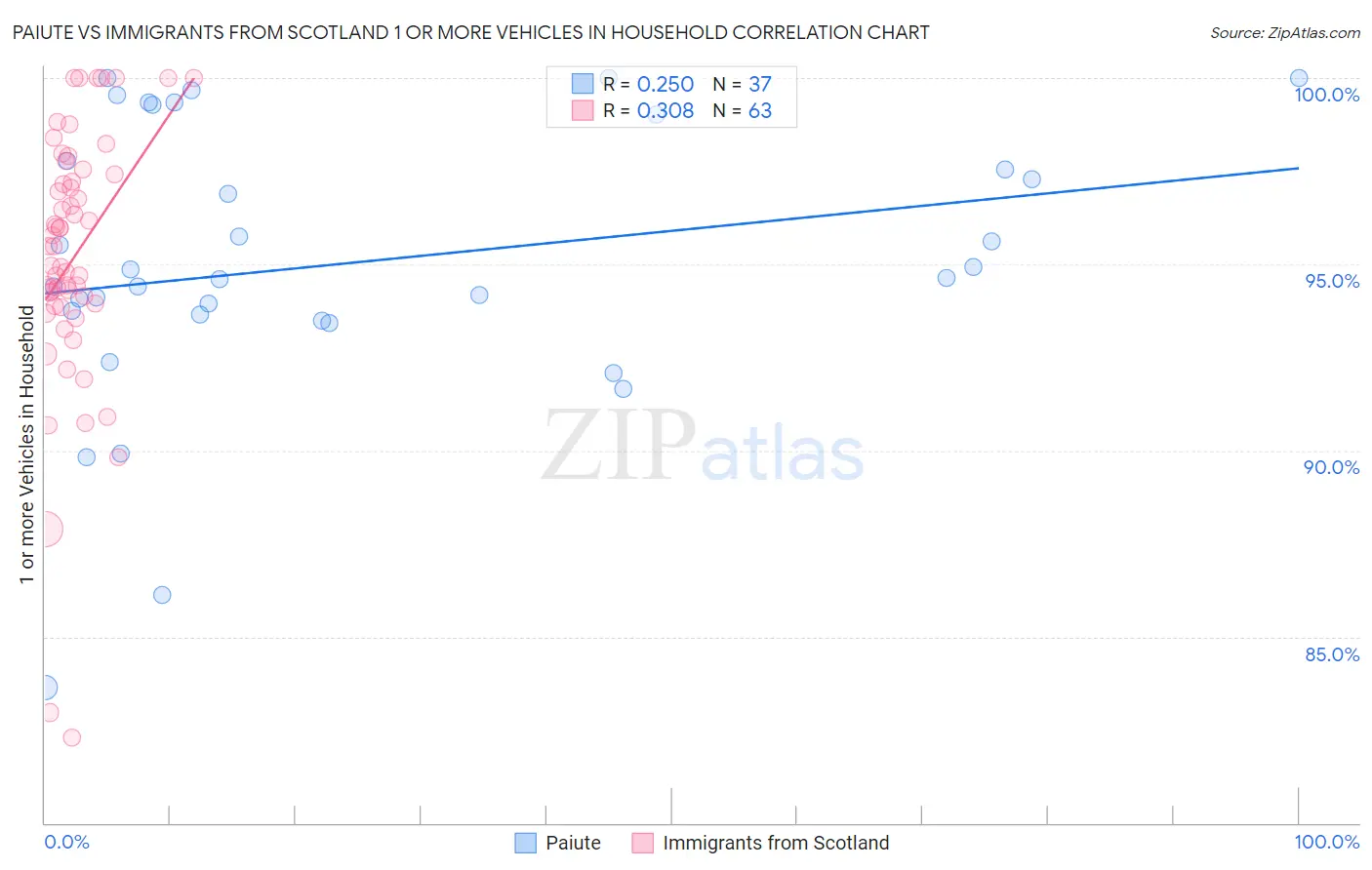 Paiute vs Immigrants from Scotland 1 or more Vehicles in Household