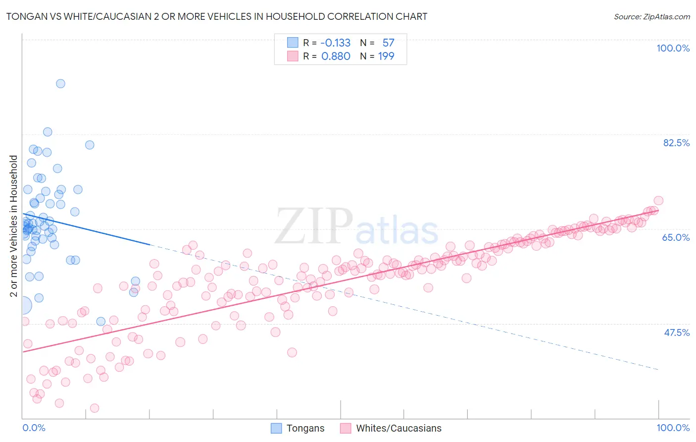 Tongan vs White/Caucasian 2 or more Vehicles in Household