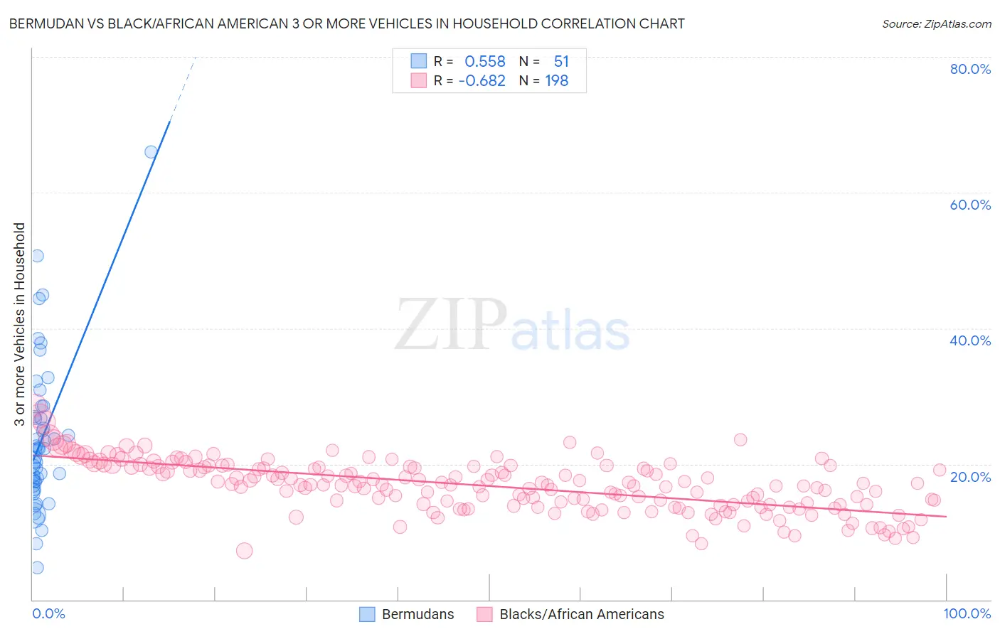 Bermudan vs Black/African American 3 or more Vehicles in Household
