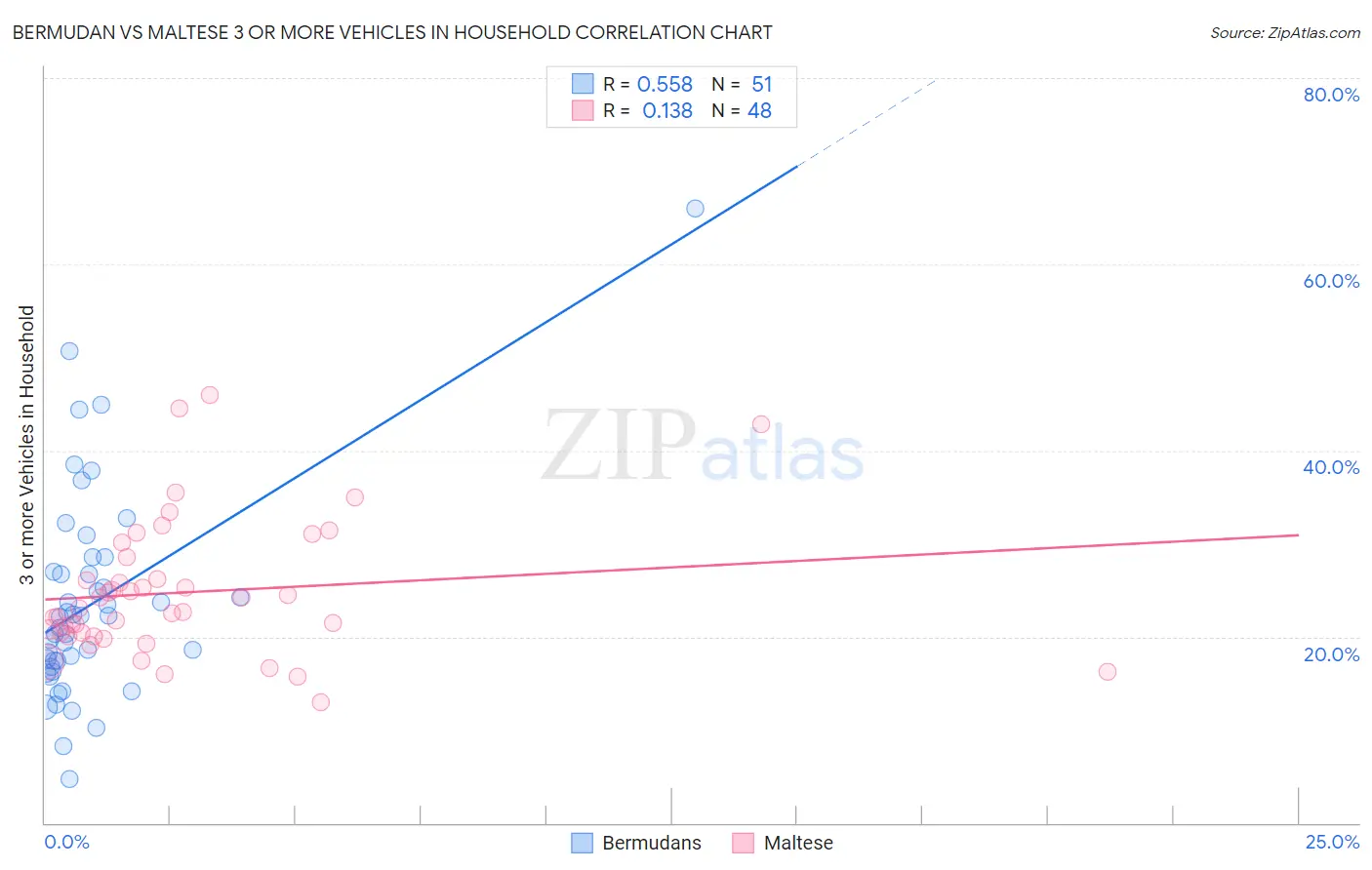 Bermudan vs Maltese 3 or more Vehicles in Household