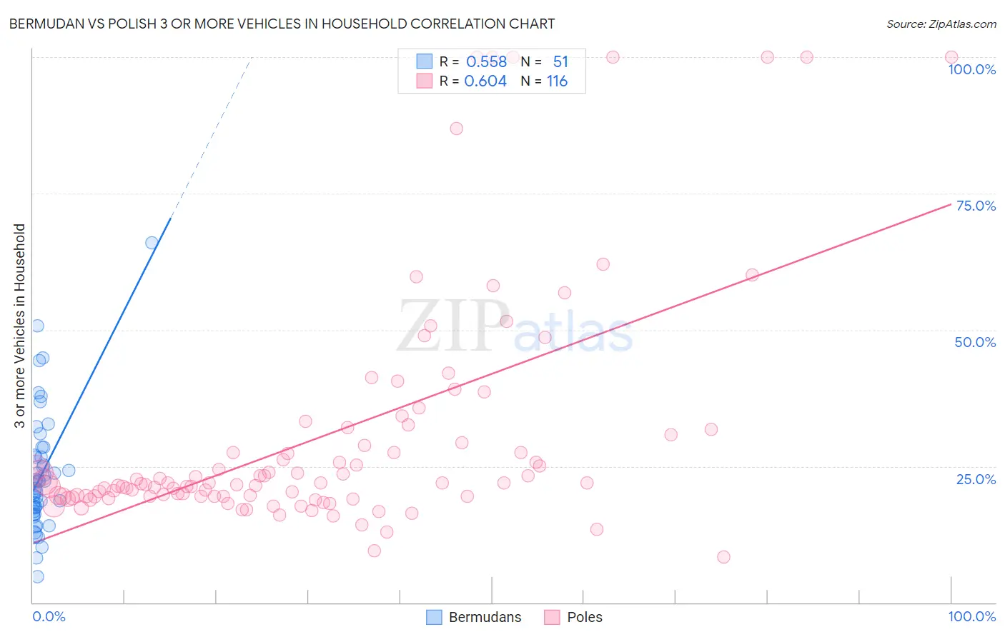 Bermudan vs Polish 3 or more Vehicles in Household