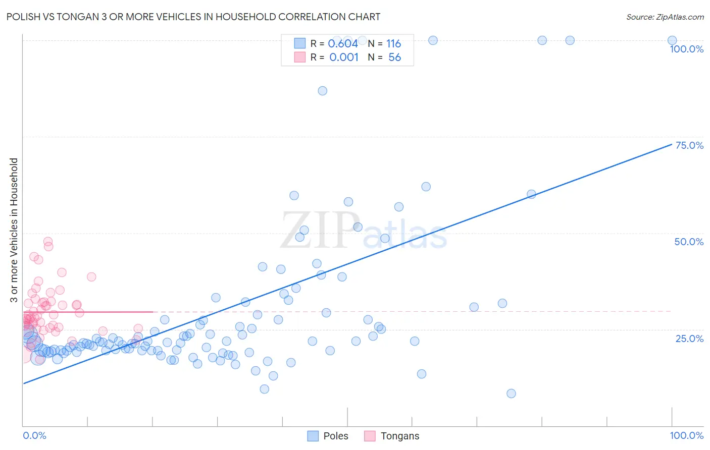 Polish vs Tongan 3 or more Vehicles in Household