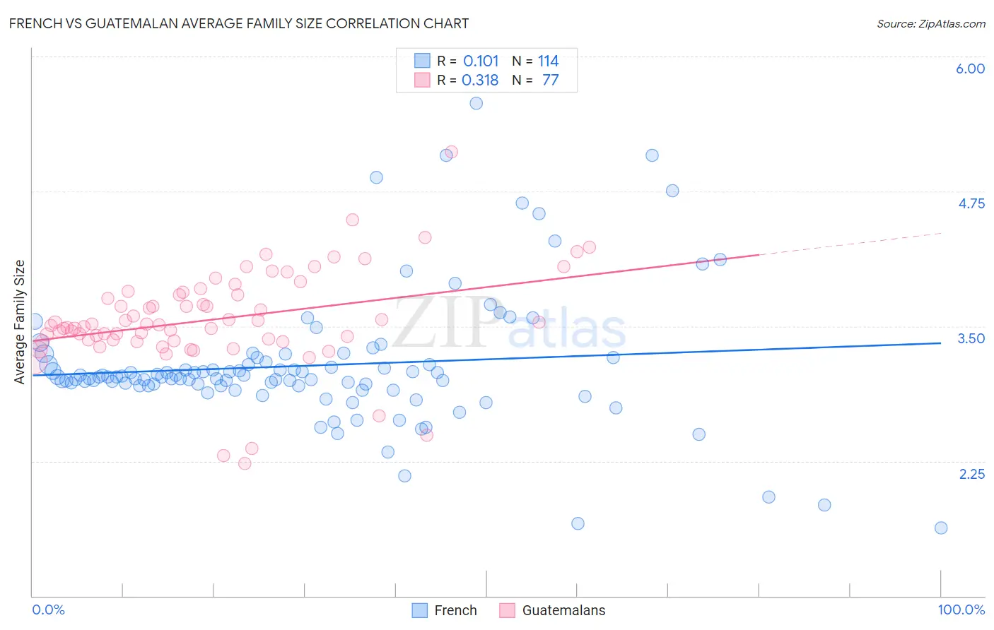 French vs Guatemalan Average Family Size