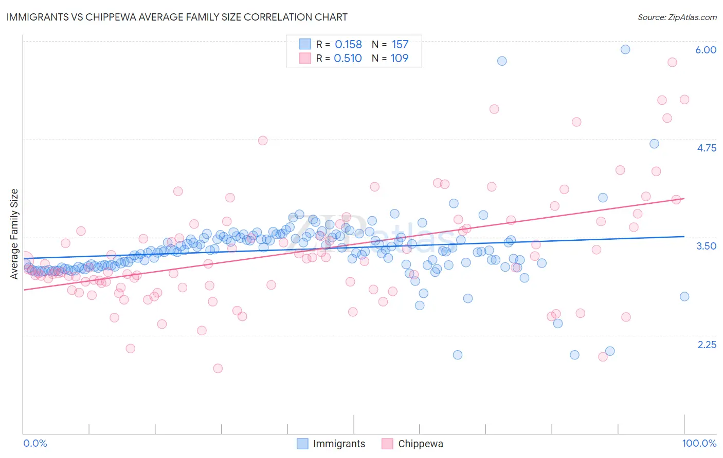 Immigrants vs Chippewa Average Family Size