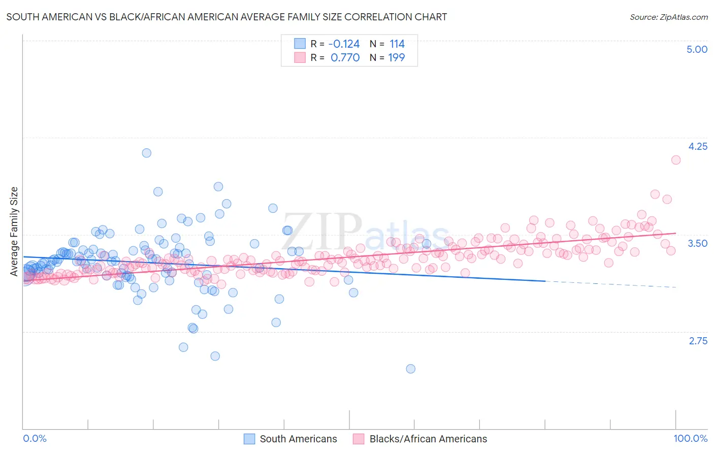 South American vs Black/African American Average Family Size