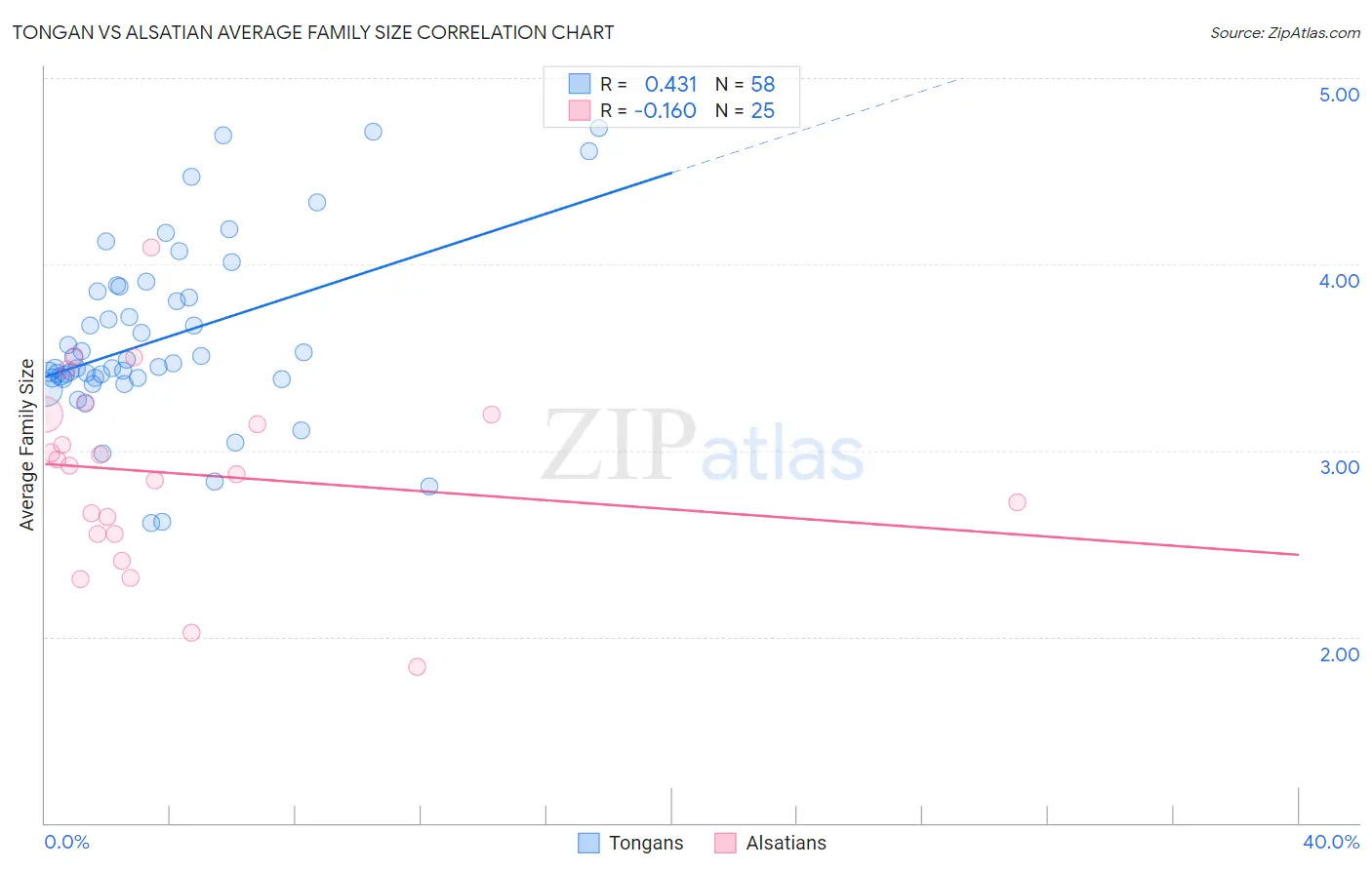 Tongan vs Alsatian Average Family Size