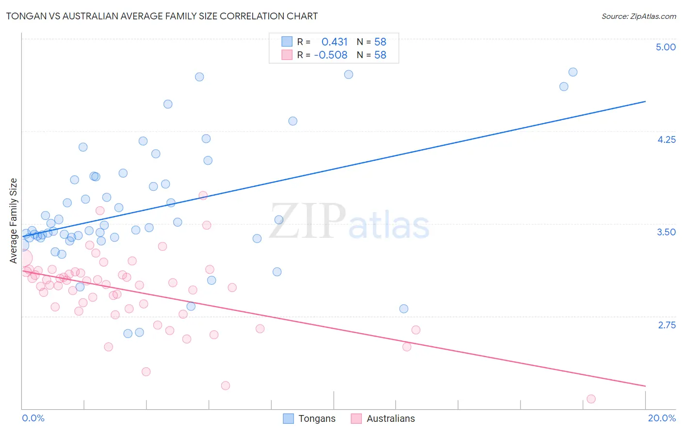 Tongan vs Australian Average Family Size