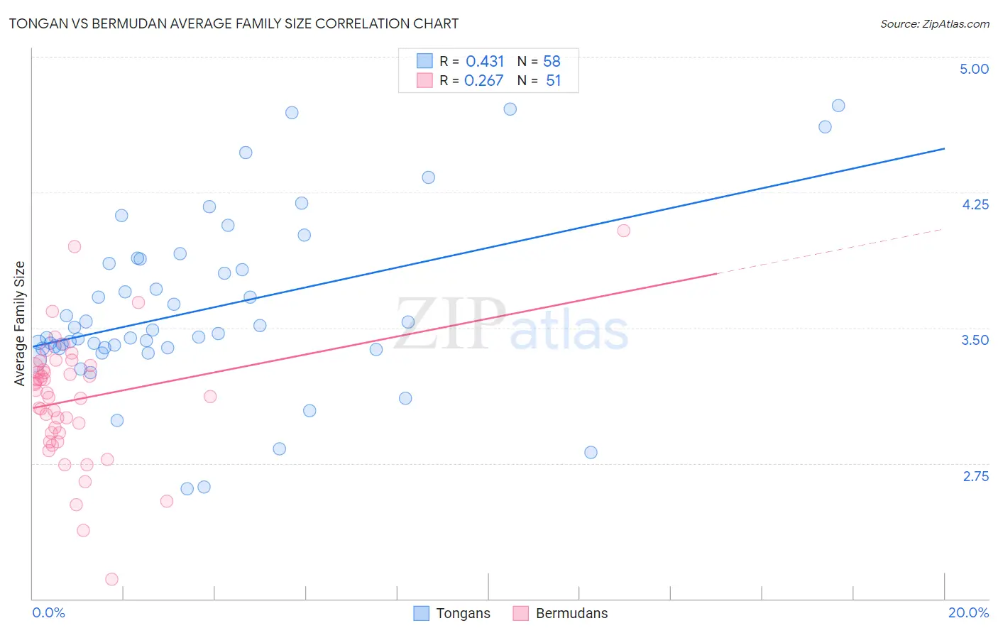 Tongan vs Bermudan Average Family Size