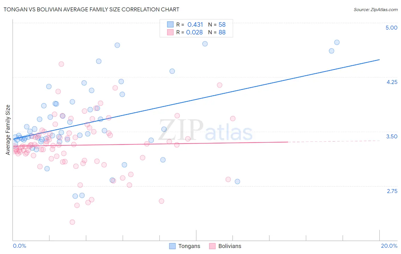 Tongan vs Bolivian Average Family Size