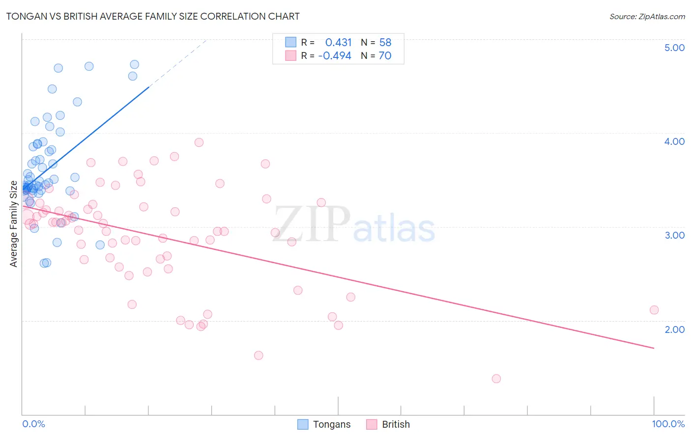 Tongan vs British Average Family Size