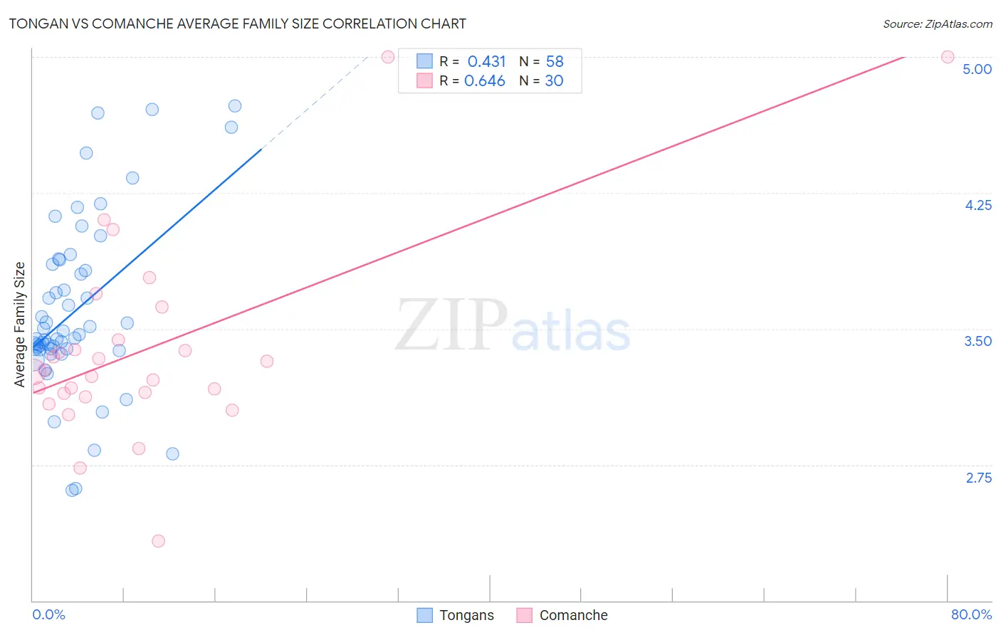 Tongan vs Comanche Average Family Size