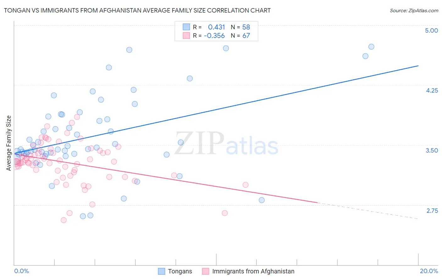Tongan vs Immigrants from Afghanistan Average Family Size