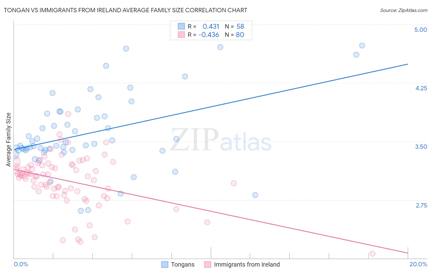 Tongan vs Immigrants from Ireland Average Family Size