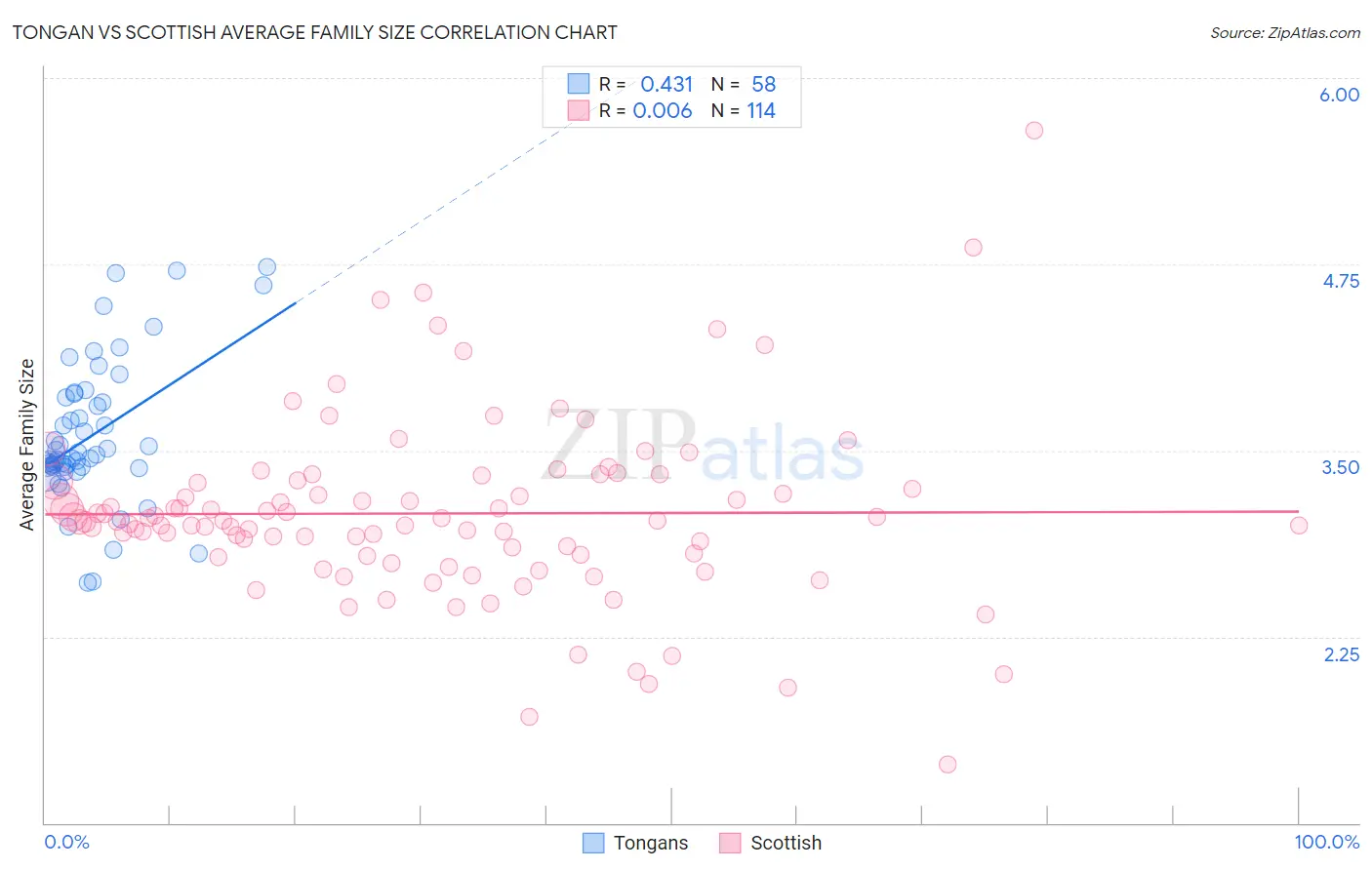 Tongan vs Scottish Average Family Size