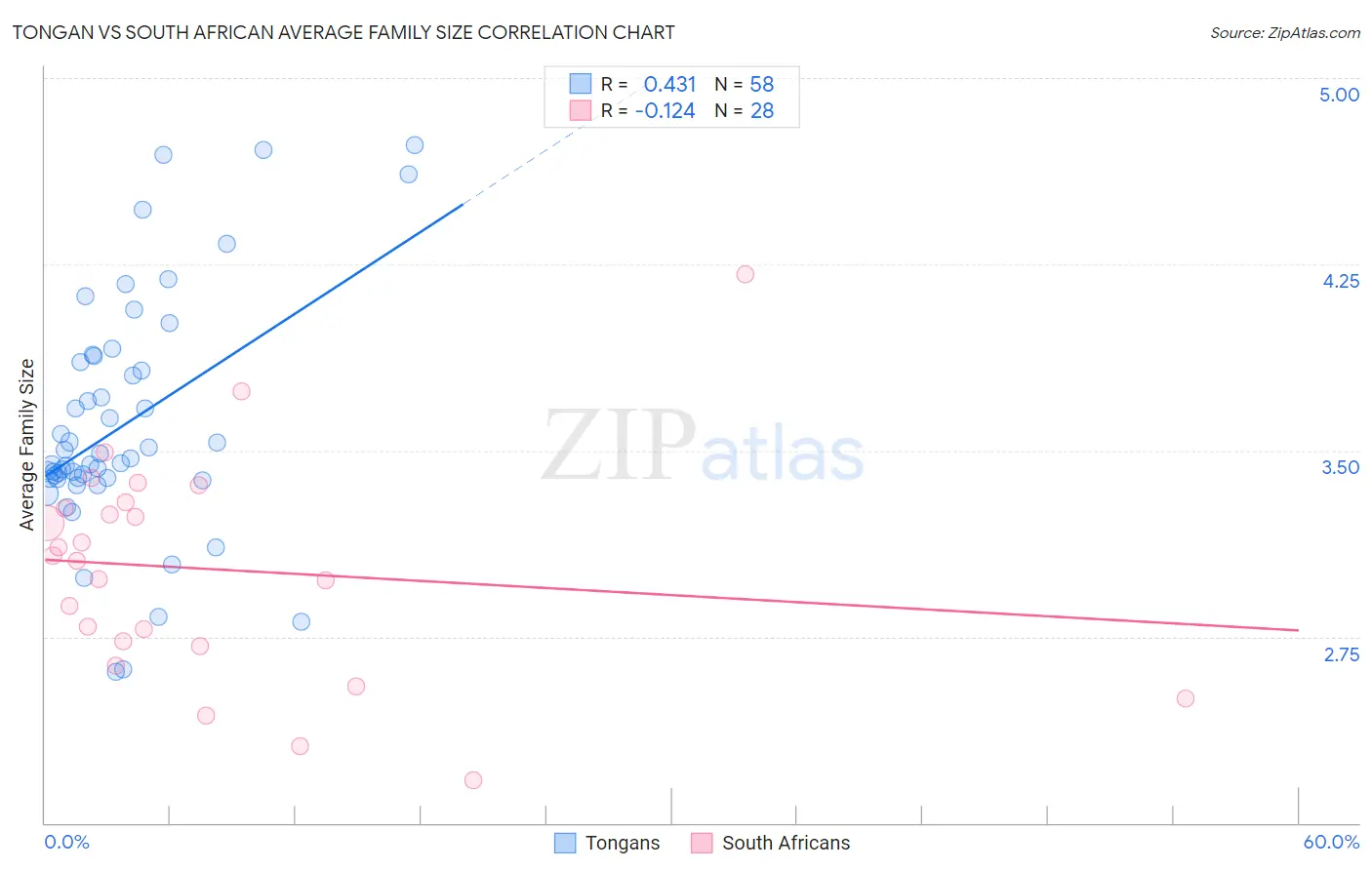 Tongan vs South African Average Family Size