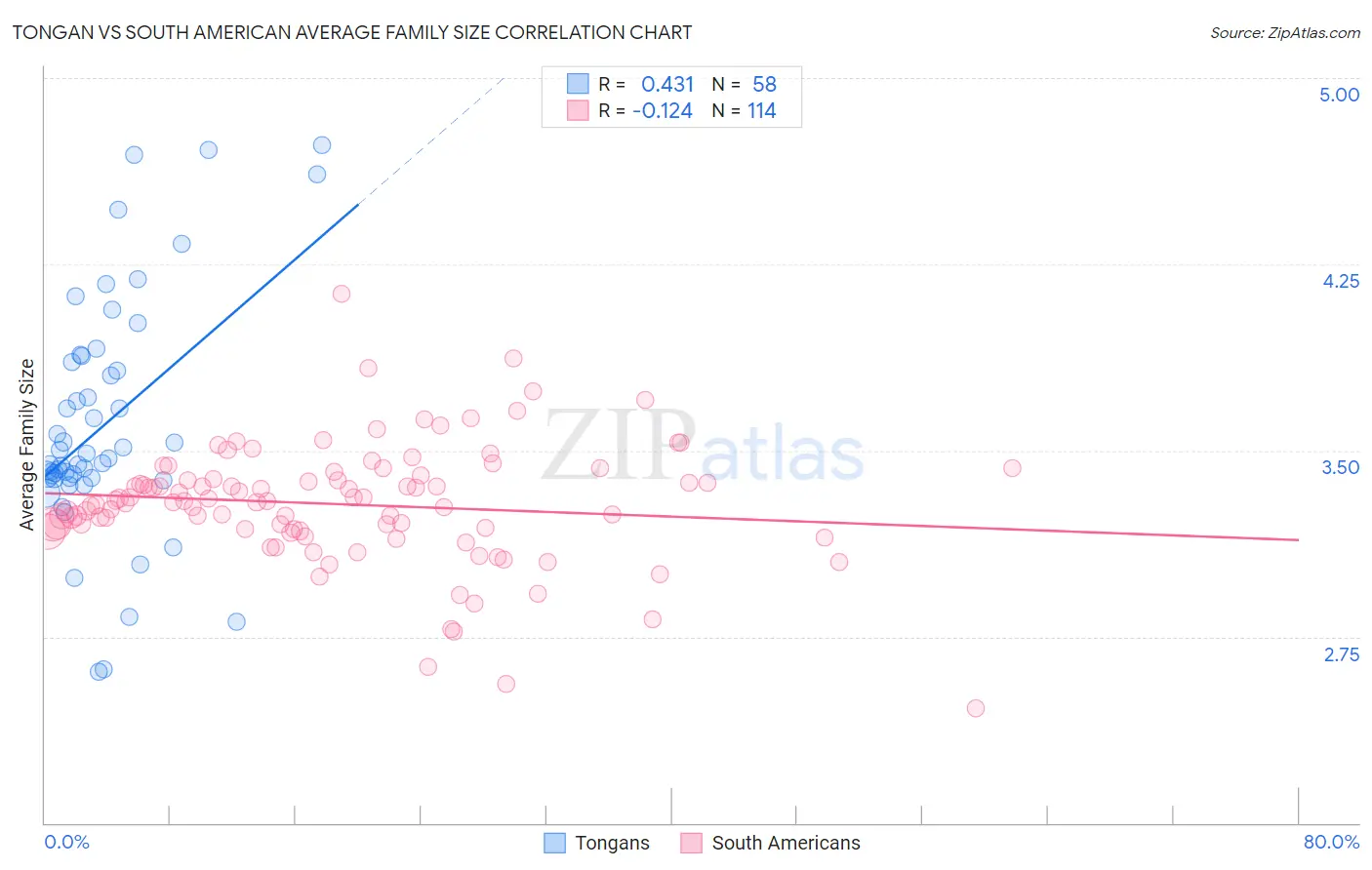 Tongan vs South American Average Family Size