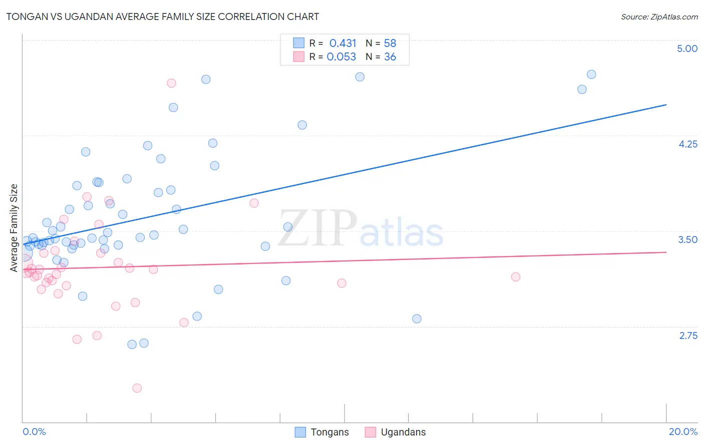 Tongan vs Ugandan Average Family Size