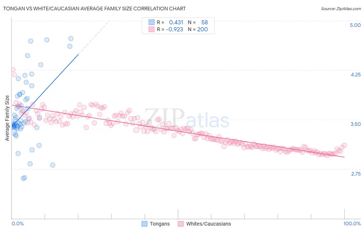 Tongan vs White/Caucasian Average Family Size