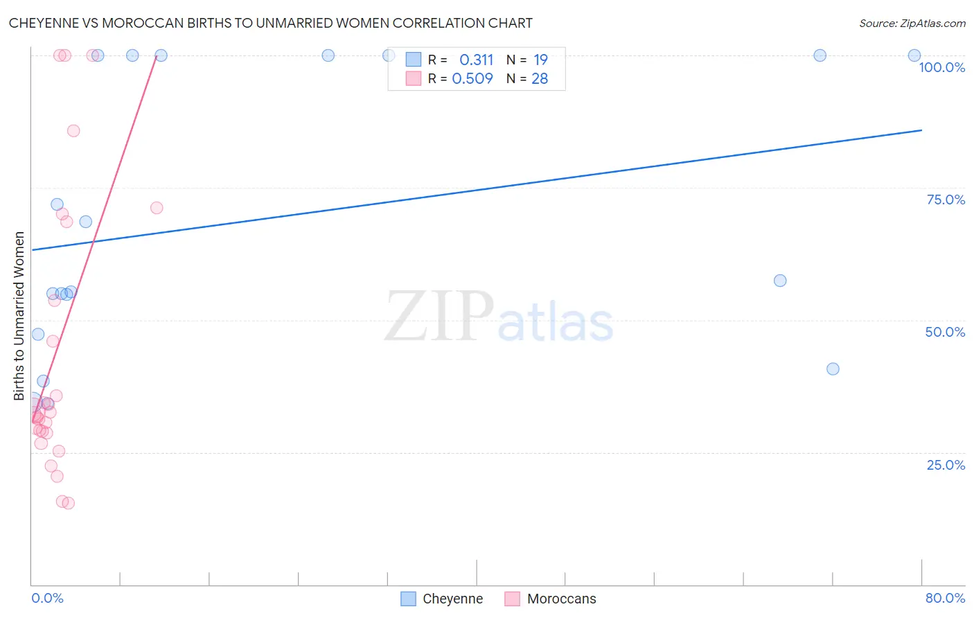 Cheyenne vs Moroccan Births to Unmarried Women