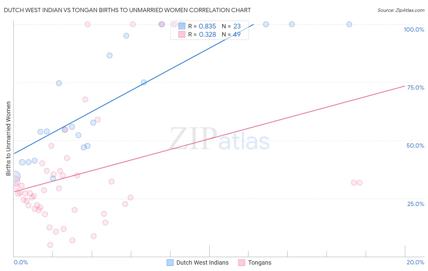 Dutch West Indian vs Tongan Births to Unmarried Women