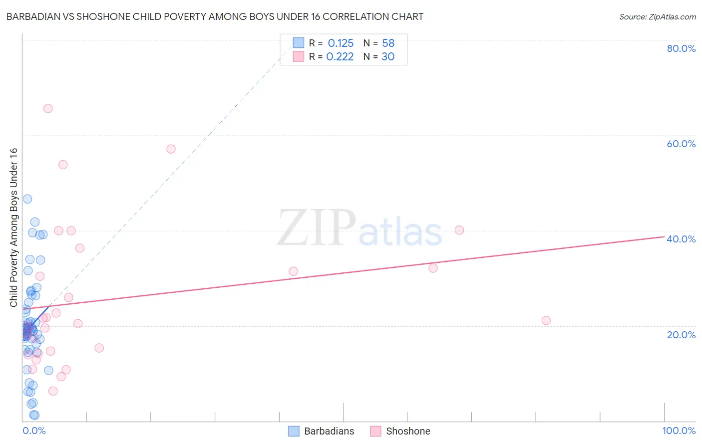 Barbadian vs Shoshone Child Poverty Among Boys Under 16