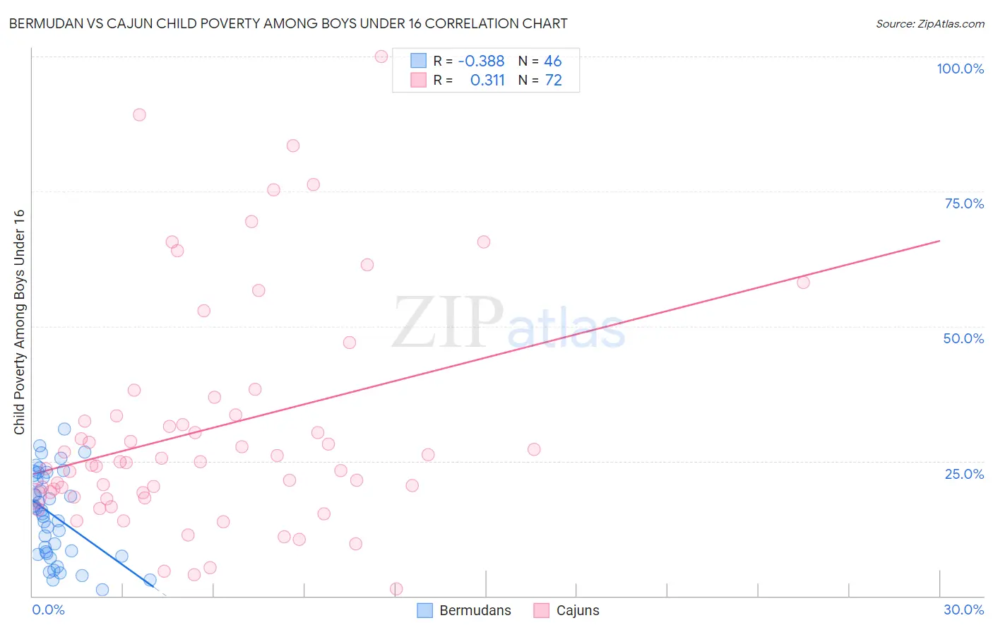 Bermudan vs Cajun Child Poverty Among Boys Under 16