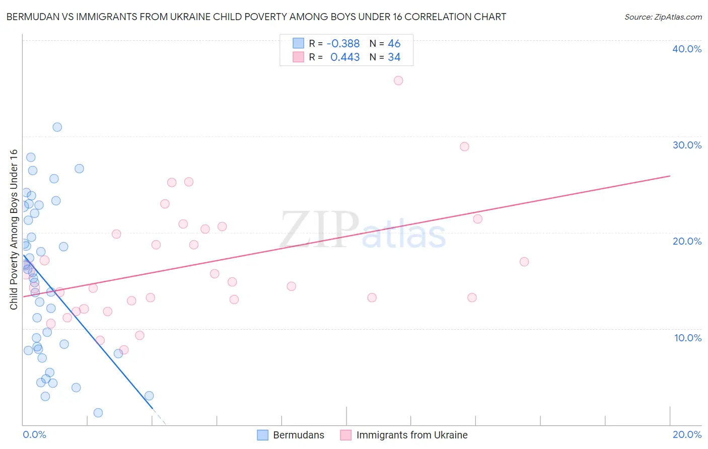 Bermudan vs Immigrants from Ukraine Child Poverty Among Boys Under 16