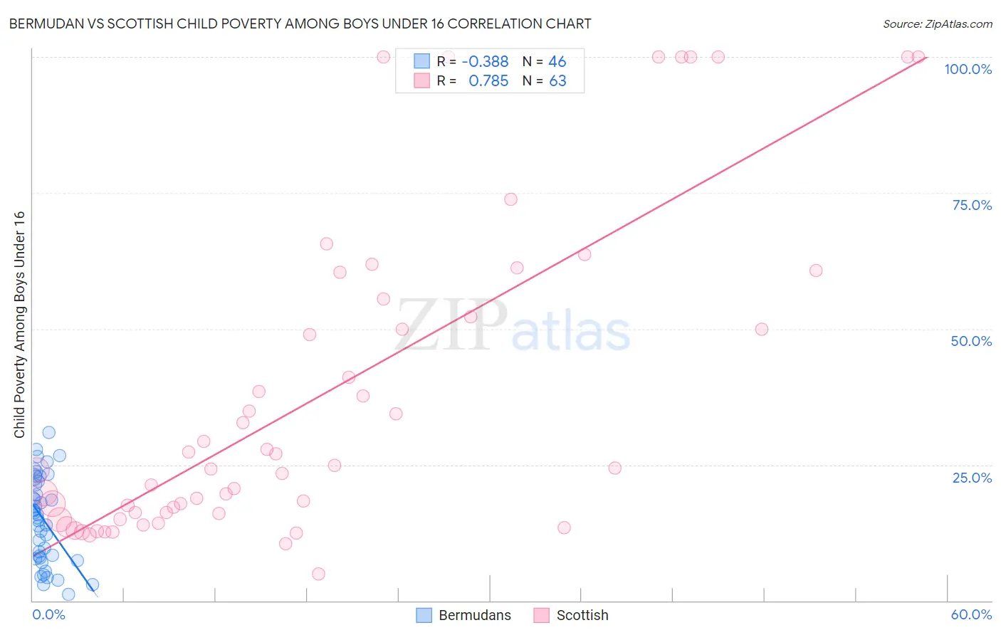 Bermudan vs Scottish Child Poverty Among Boys Under 16