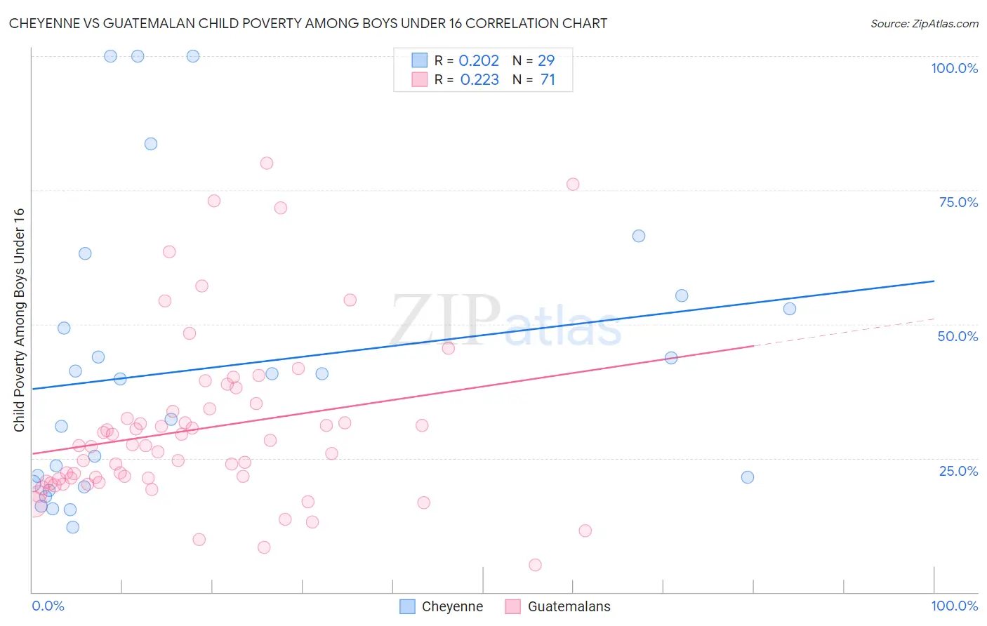 Cheyenne vs Guatemalan Child Poverty Among Boys Under 16